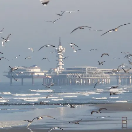 Holiday Het Kleine Vissershuisje Vakantiehuis Den Haag