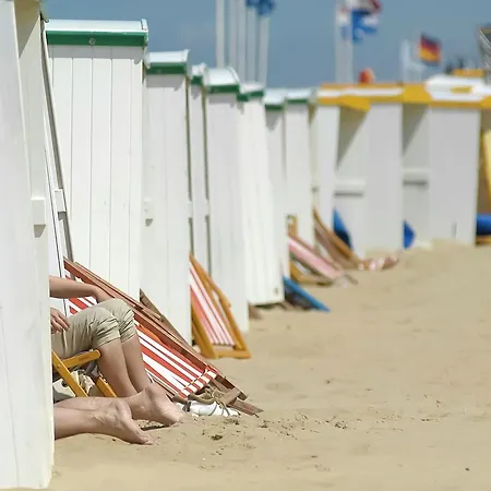 Vakantiehuis Holiday Het Kleine Vissershuisje *